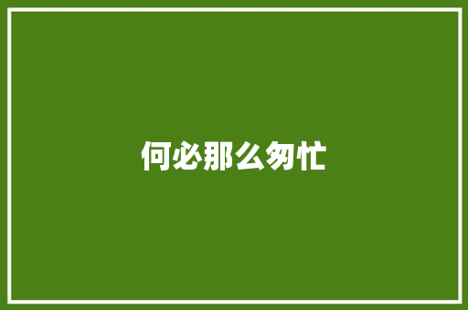 何必那么匆忙