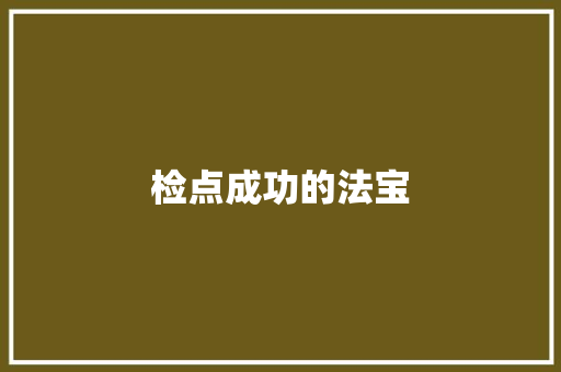 检点成功的法宝