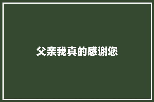父亲我真的感谢您