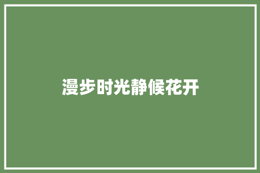 漫步时光静候花开