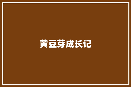 黄豆芽成长记