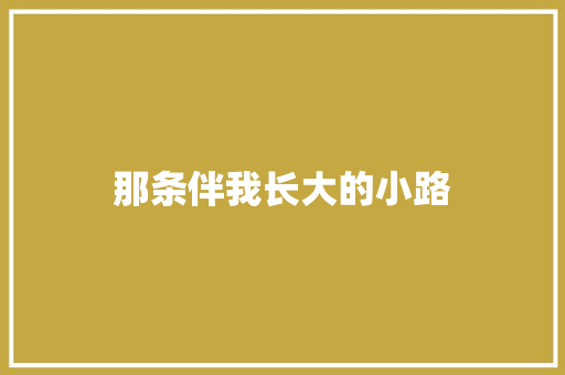 那条伴我长大的小路
