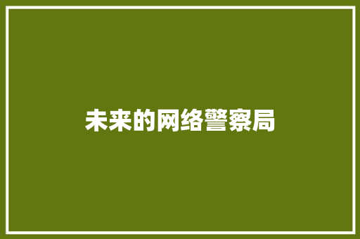 未来的网络警察局