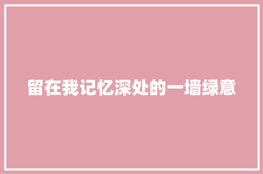 留在我记忆深处的一墙绿意
