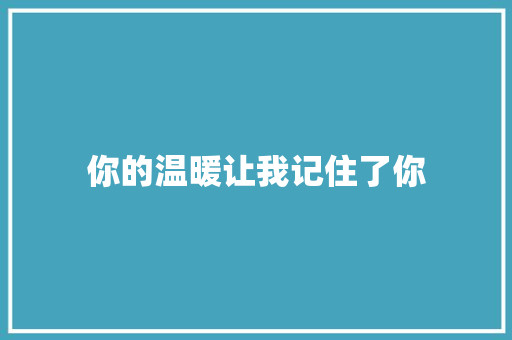 你的温暖让我记住了你