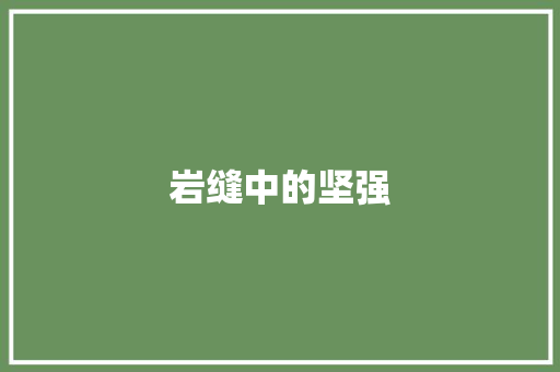 岩缝中的坚强