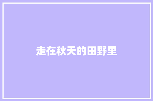 走在秋天的田野里