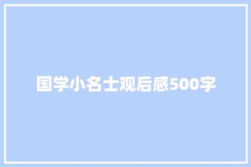 国学小名士观后感500字