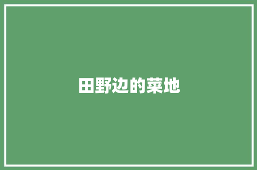 田野边的菜地