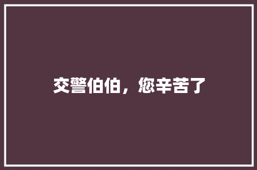 交警伯伯，您辛苦了