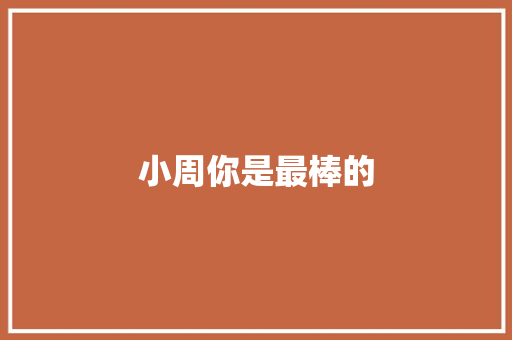 小周你是最棒的