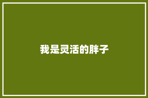 我是灵活的胖子