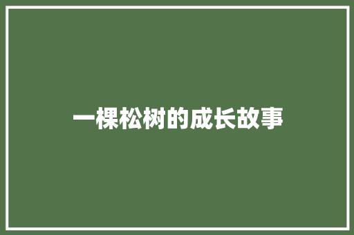 一棵松树的成长故事
