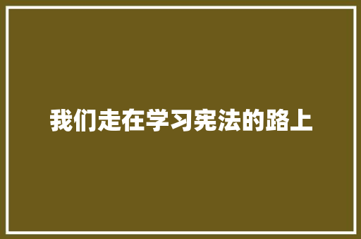 我们走在学习宪法的路上