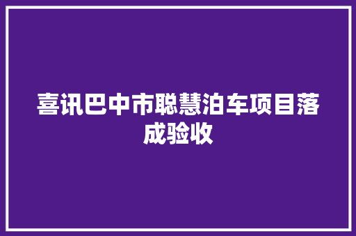 喜讯巴中市聪慧泊车项目落成验收 汽车知识
