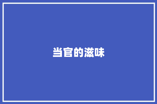 当官的滋味