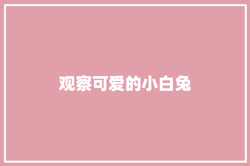 观察可爱的小白兔