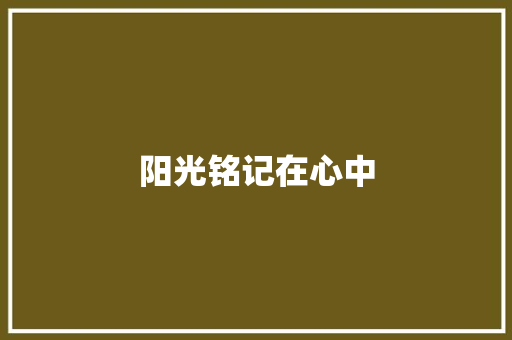 阳光铭记在心中