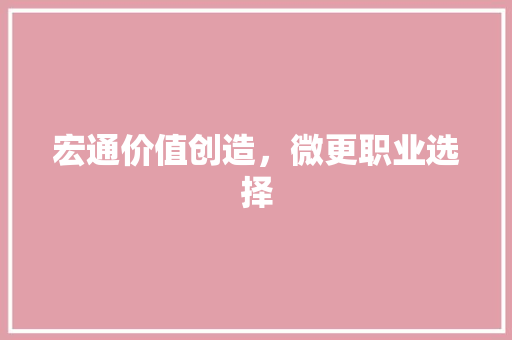宏通价值创造，微更职业选择