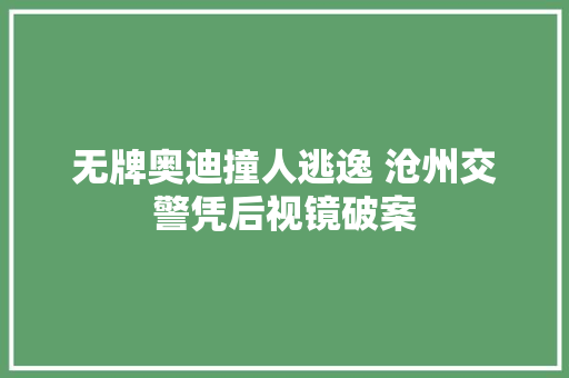 无牌奥迪撞人逃逸 沧州交警凭后视镜破案