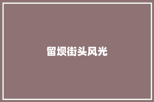 留坝街头风光