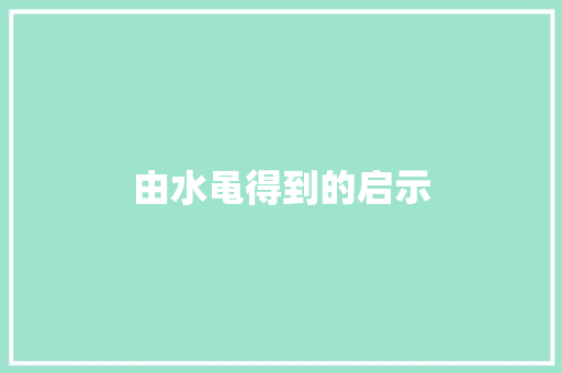 由水黾得到的启示