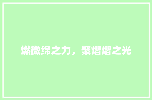 燃微绵之力，聚熠熠之光