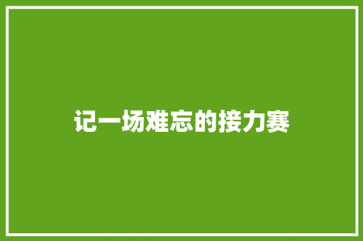 记一场难忘的接力赛