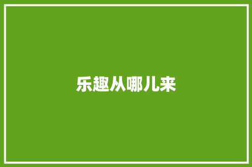 乐趣从哪儿来