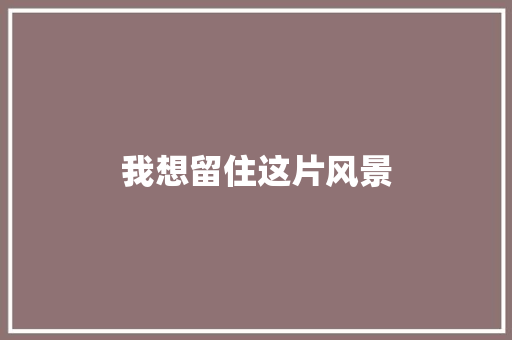 我想留住这片风景