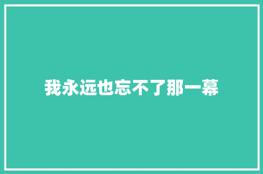 我永远也忘不了那一幕