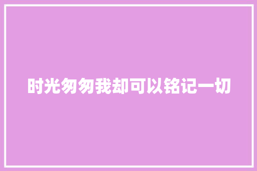 时光匆匆我却可以铭记一切