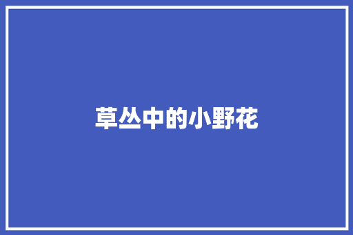 草丛中的小野花