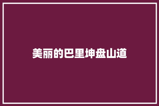 美丽的巴里坤盘山道