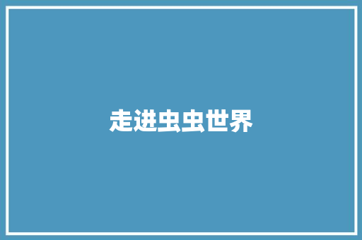 走进虫虫世界