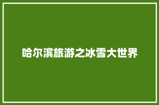 哈尔滨旅游之冰雪大世界