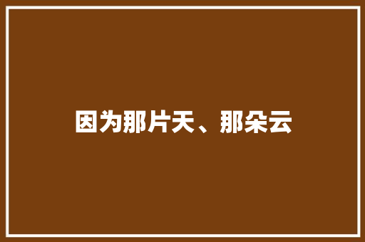 因为那片天、那朵云