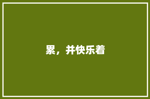 累，并快乐着