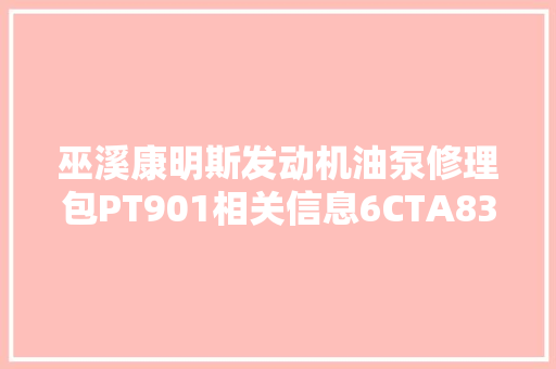 巫溪康明斯发动机油泵修理包PT901相关信息6CTA83 柴油机