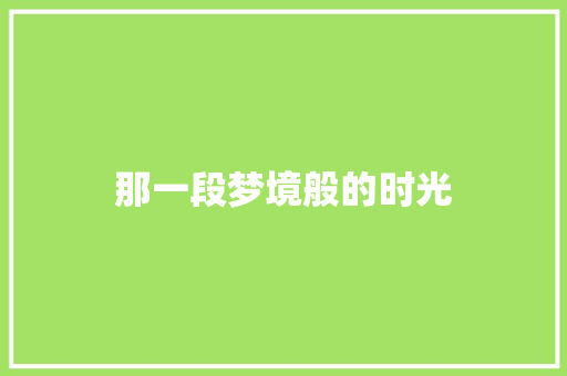 那一段梦境般的时光