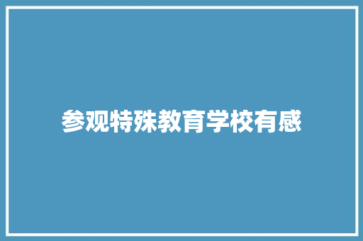 参观特殊教育学校有感