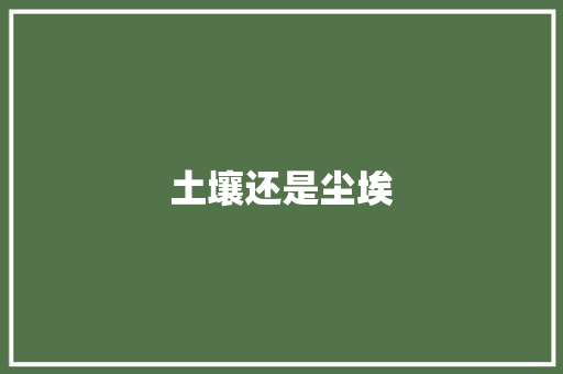 土壤还是尘埃