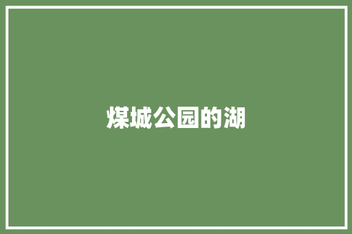 煤城公园的湖