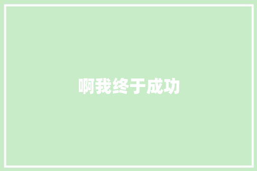 啊我终于成功