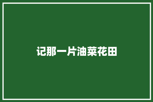 记那一片油菜花田