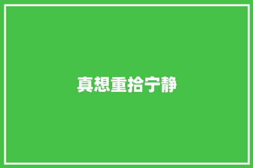 真想重拾宁静