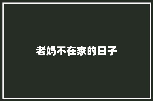 老妈不在家的日子