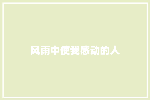 风雨中使我感动的人