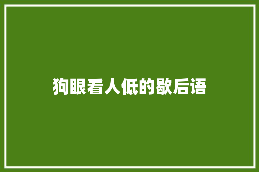 狗眼看人低的歇后语