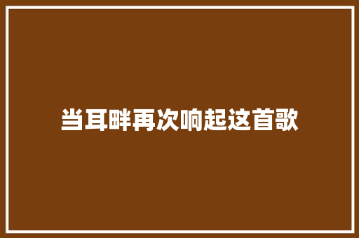当耳畔再次响起这首歌